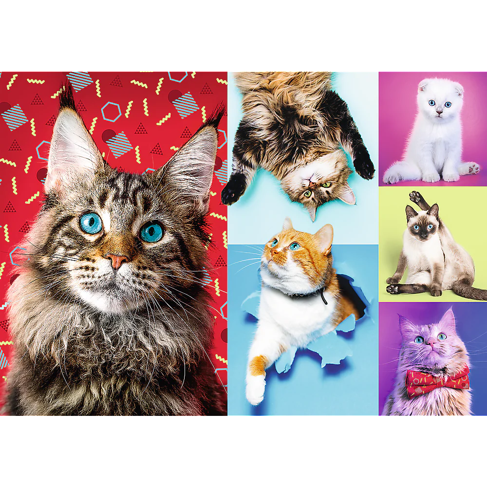 1000 Piece Jigsaw Puzzles, Happy Cats, Pets, Silly Animals, Cats and Kittens, Adult Puzzles, Trefl 10591
