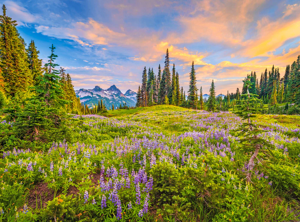 2000 Piece Jigsaw Puzzle, Blossoms of Morning, Landscape puzzles, Meadow, Mountain view, Adult Puzzle, Castorland C-200863-2 - Image 2