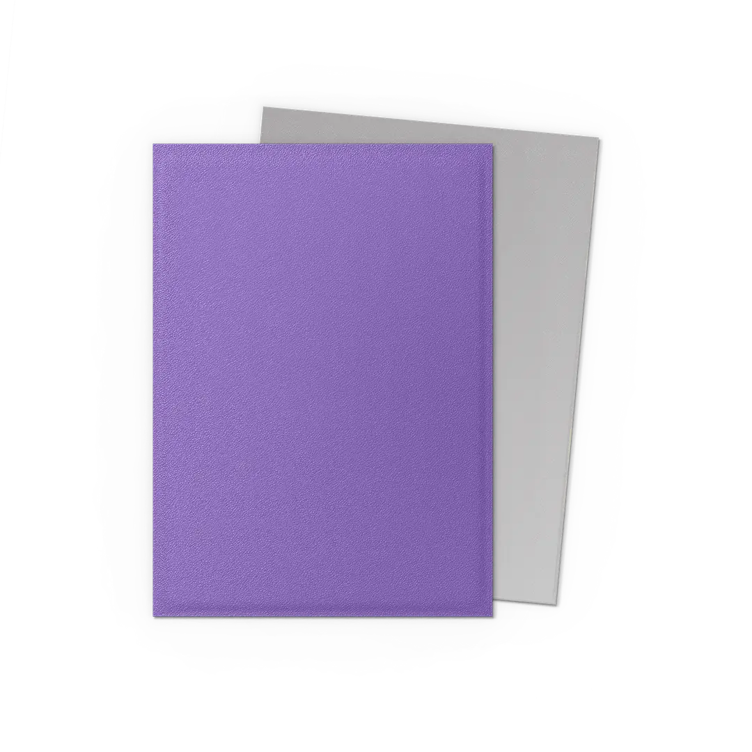 Dragon Shield: Nebula & Silver - Matte Dual Sleeves - Image 2